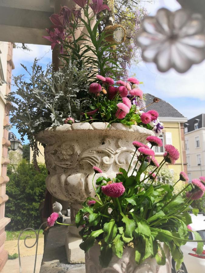 Castelnau Hotel กอลมาร์ ภายนอก รูปภาพ