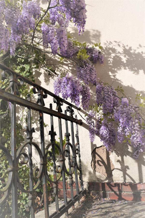 Castelnau Hotel กอลมาร์ ภายนอก รูปภาพ