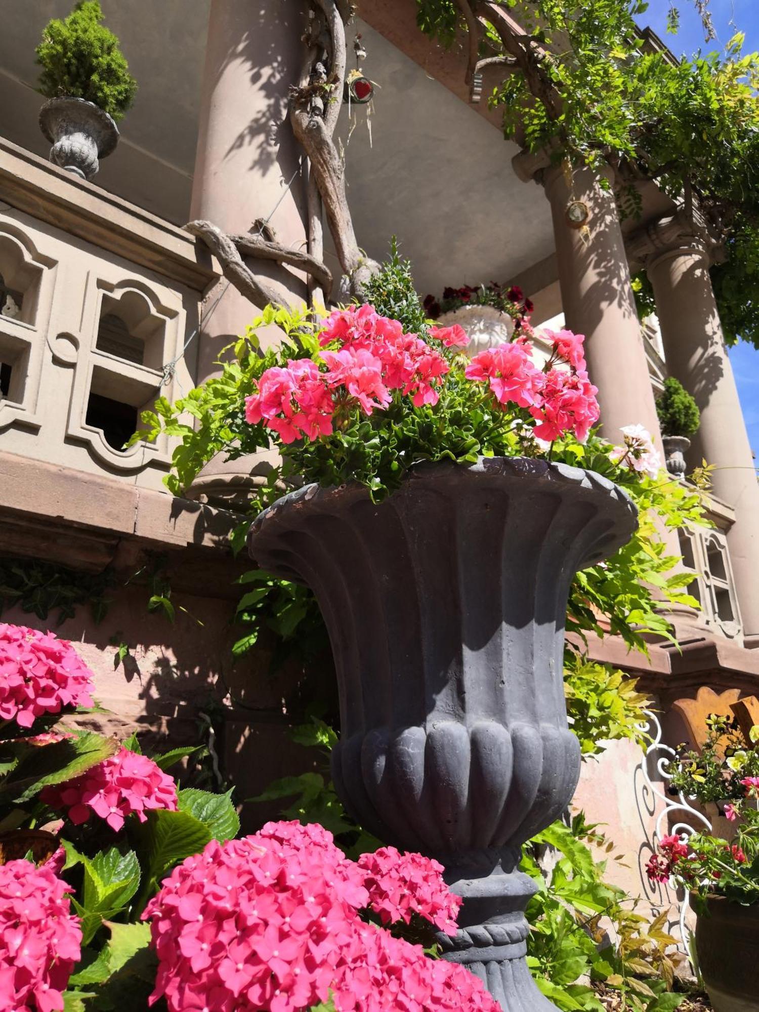 Castelnau Hotel กอลมาร์ ห้อง รูปภาพ