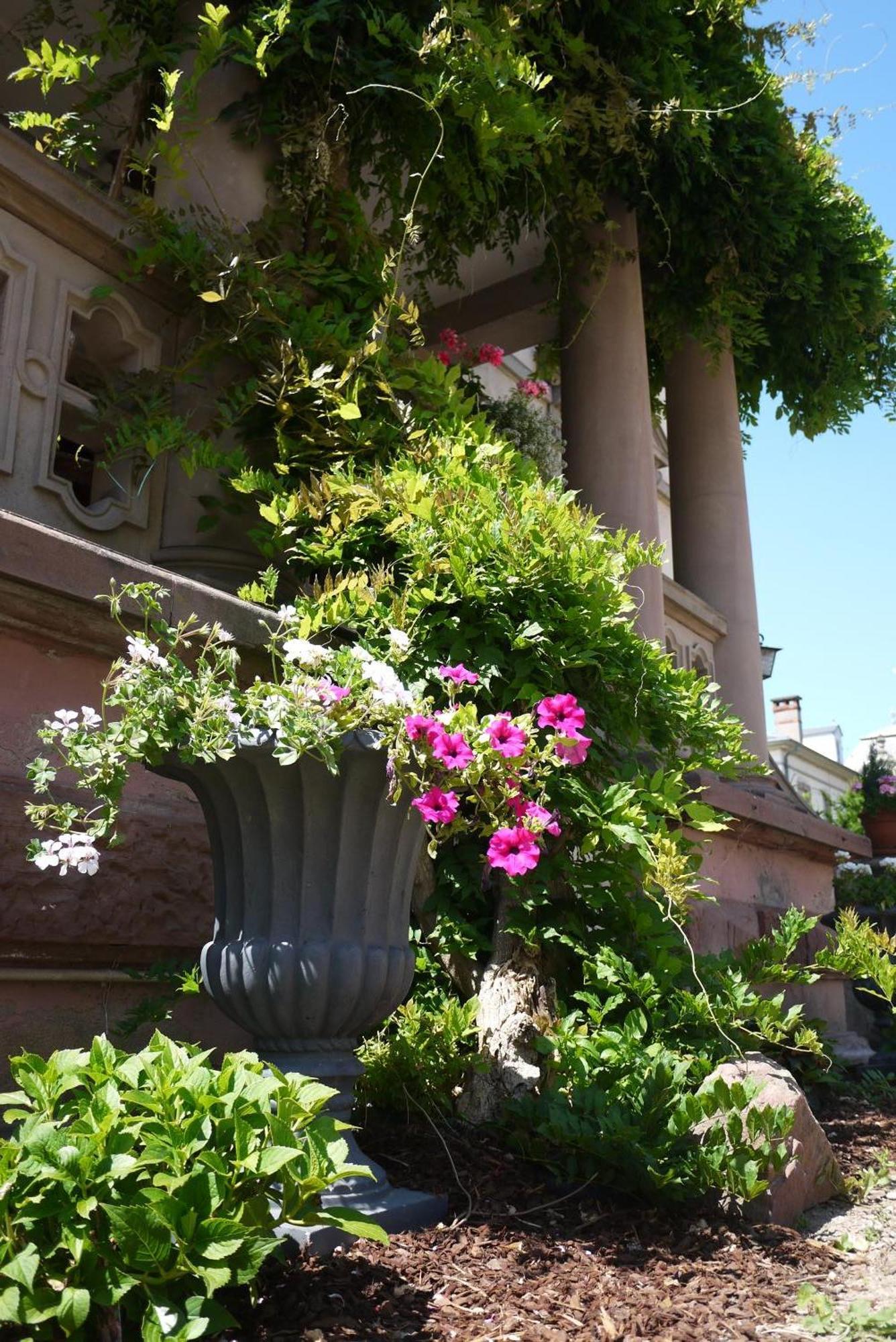 Castelnau Hotel กอลมาร์ ภายนอก รูปภาพ